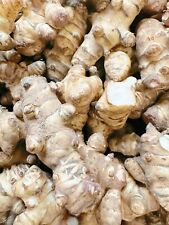 Wholesale sunchokes 20lb for sale  Bensalem