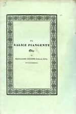 Salice piangente. ode usato  Italia
