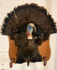 Estate sale turkey for sale  Hawley