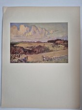 Antique coloured hunting for sale  SHANKLIN