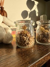 Artificial succulents cactus for sale  UK