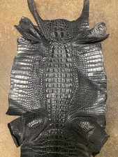 Genuine alligator hide for sale  Albany