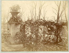 Achille quinet nature d'occasion  Expédié en Belgium