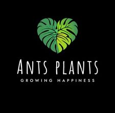 Plant tissue culture for sale  LONDON