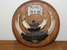 Ecusson trophée sanglier d'occasion  Bidart