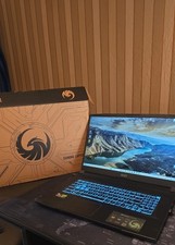 Msi gaming laptop gebraucht kaufen  Altenkirchen