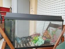 Acquario completo perfettament usato  Nocera Terinese