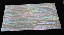 Japanese abalone mother for sale  HARLOW