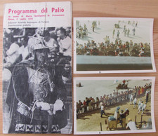 Lotto palio siena usato  L Aquila
