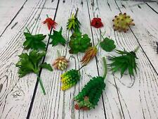 Artificial succulents plants for sale Artificial succulents plants for sale  Mccordsville