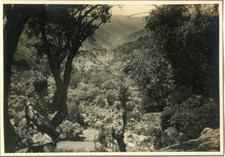 Maroc paysage marocain d'occasion Maroc paysage marocain d'occasion  Pagny-sur-Moselle