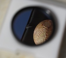 Alpha nebelfilter zoll gebraucht kaufen  Markt Indersdorf