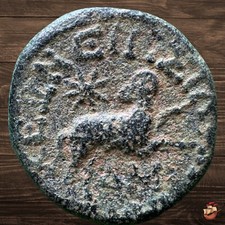 Moeda provincial romana - Seleucis e Pieria - Augusto (27 aC-14 dC) Zeus #t490 comprar usado  Enviando para Brazil