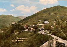Cartolina colle caprile usato  Treviso Bresciano