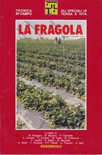 Terra vita fragola usato  Villar Focchiardo