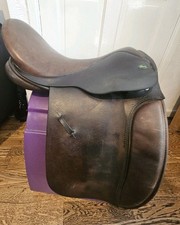 Silhouette working hunter for sale Silhouette working hunter for sale  OLDHAM