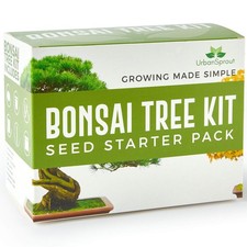 Bonsai tree kit for sale  MANCHESTER