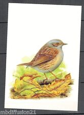 Postcard fly accentuer d'occasion  Expédié en Belgium