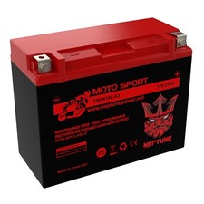 Y50-N18L-A3 12 V 21 AH CCA 350 para Honda GL1500 Gold Wing 1500CC 1988-2000 comprar usado  Enviando para Brazil
