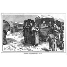 London study nature for sale London study nature for sale  GLASGOW