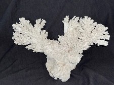 Natural marine aquarium for sale  Deerfield