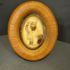 White wood glassics for sale  Ardmore