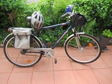 Herrenrad city cruiser gebraucht kaufen  Tauberbischofsheim