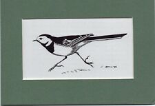 Peter scott wagtail for sale  SPALDING