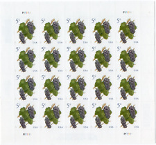 Scott 5177 pinot for sale  Chester