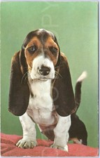Vintage postcard basset for sale  UK
