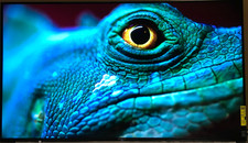 Sony bravia x950h for sale  Kansas City