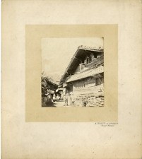 Braun oberland bernois. d'occasion  Pagny-sur-Moselle