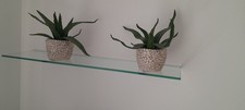 Glasregal wandhalterung sicher gebraucht kaufen  Konz