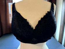 Gloria vanderbuit black for sale  Alexandria