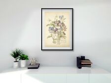 Rennie mackintosh botanical for sale  BELFAST
