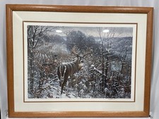 framed print stags for sale framed print stags for sale Park Ridge