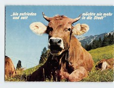 Postcard brown swiss for sale  Almond