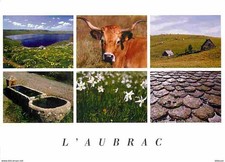 Animaux vaches aubrac d'occasion  Fruges