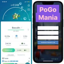 Basculina brilhante (listrada branca)✨mini PTC 20k✨Pesquisa de campo Hisui Celebration✨ comprar usado  Enviando para Brazil