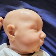 Sweet booboo newborn for sale  Black Hawk
