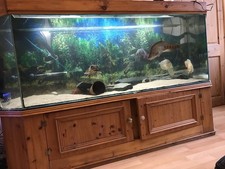 Fish tank stand for sale  DEWSBURY
