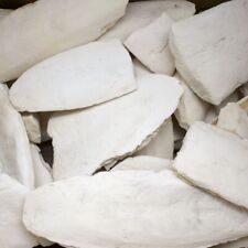 Sepiaschalen 1kg große gebraucht kaufen  Grabenstetten