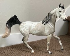 peter stone arabian for sale  San Jose