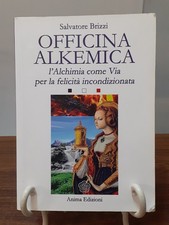 Brizzi officina alkemica usato  Rimini