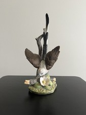 Scissor tailed flycatcher for sale  Columbia