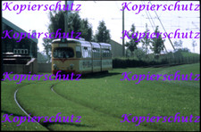 24x36 dia kopie gebraucht kaufen  Lindau (Bodensee)