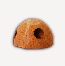 Coconut cave shelter for sale  CREDITON