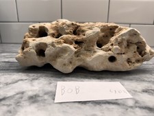 Texas hag stone for sale  Georgetown