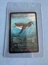 Life tcg birds for sale Life tcg birds for sale  HARROW