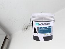 Cap arreghini pittura usato  Nettuno